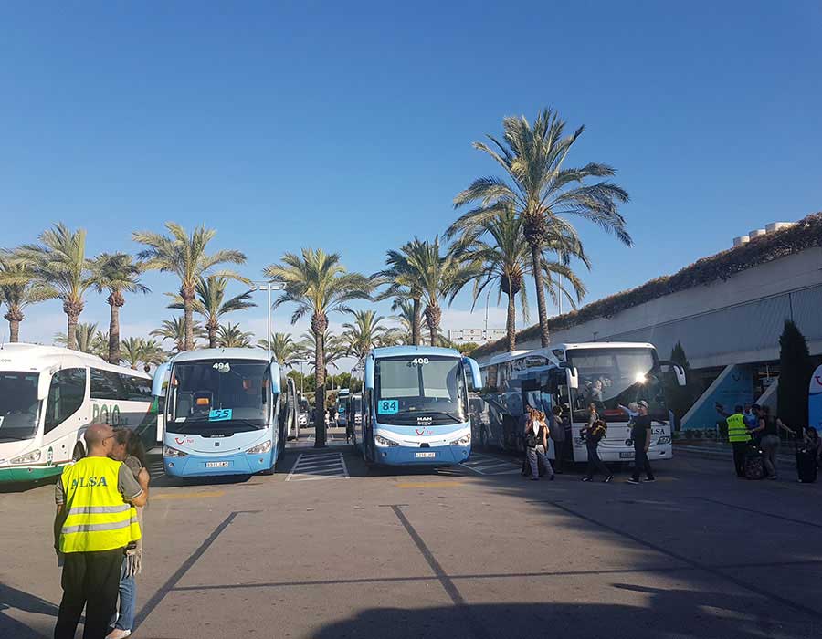 Bustransfer Flughafen Palma de Mallorca im September