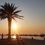Jugendreisen Novalja Kroatien Informationen Sonnenuntergang mit Palmae